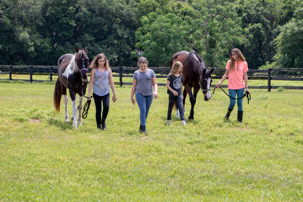 What to Expect at Your Child’s First Horseback Riding Camp in Lutz, Florida
