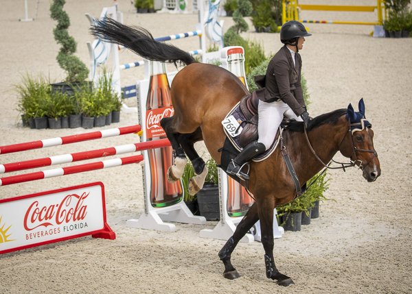 Upcoming Shows: Follow Licciardello Stables This Fall