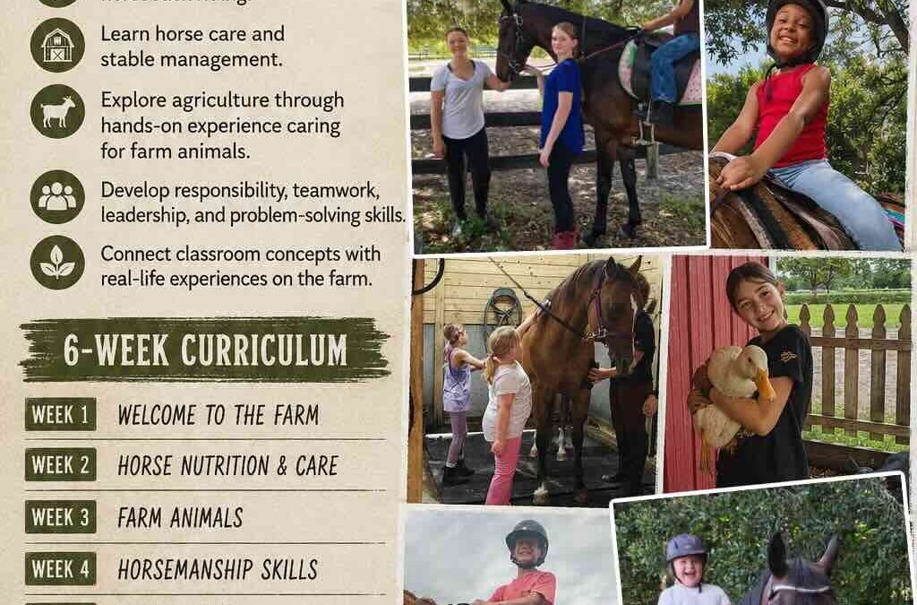 6-Week Farm Homeschool Program in Lutz, FL: Hands-On Learning at Licciardello Stables